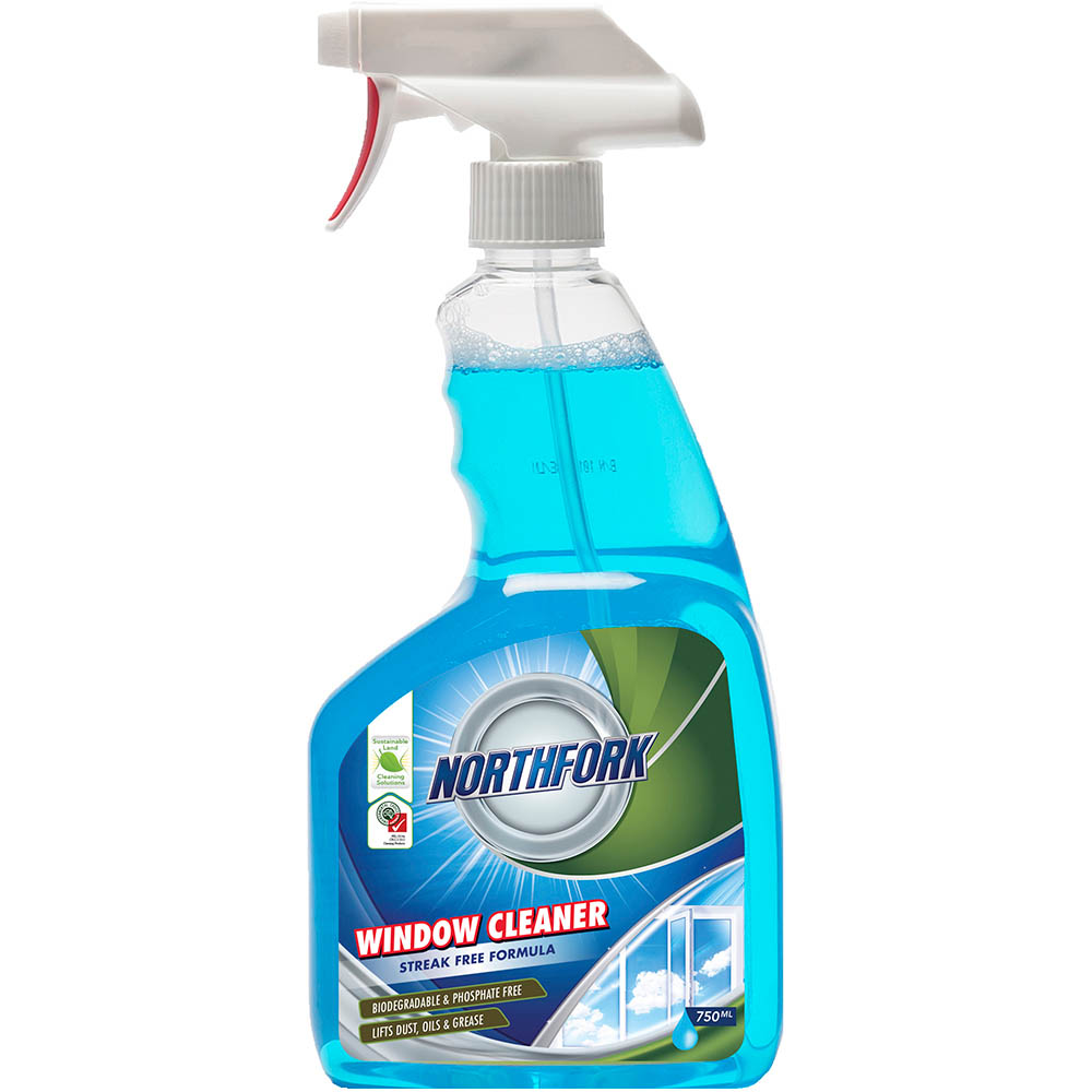Window Cleaning