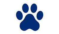 Pet Care