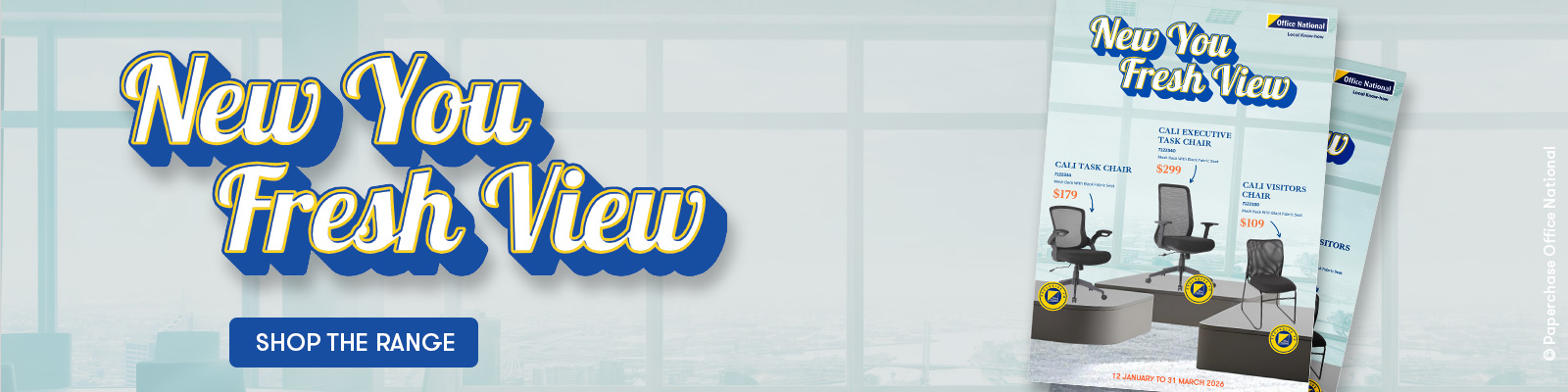 New You Fresh View Flyer